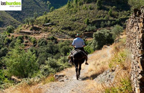 Apartamentos Rurales El Prado - Foto 130