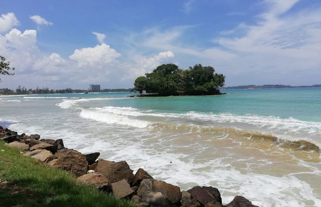 Padmi Villa - Photo 17