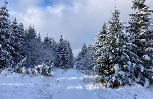 Haus Waldzeit, inclusief bedlinnen handdoeken en eindservice - Foto 29