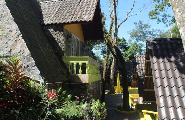 Naudy Lorena - Foto 17