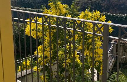 Luca's Home - Foto 13