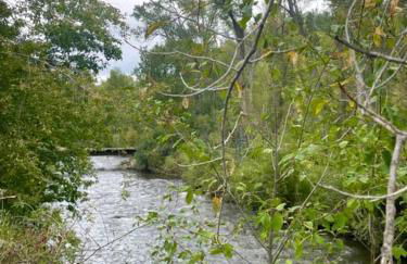 Romantic Escapes at this Riverside Cottage Rental on the Pecos River, New Mexico - Foto 2