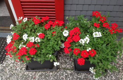 Ferienwohnung Pusteblume - Foto 56