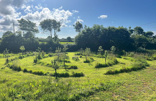 Les écolodges Sous Le Phare - Foto 90