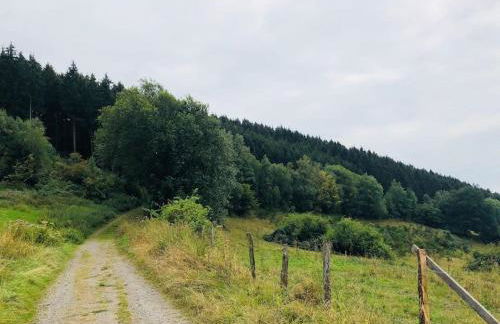 Wohnung am Waldrand am Tanneneck - Foto 28