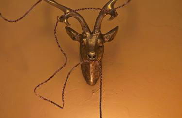 Stylish Forest View - Apartment - Foto 9