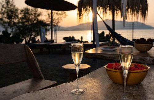 Beach Villa Next To The Waves! - Photo 29