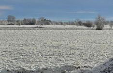 Ferienwohnung OG - Foto 16