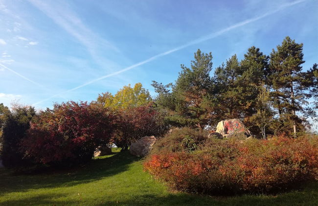 University Hotel - Foto 38