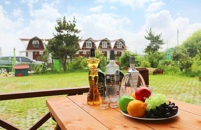 Matryoshka Pension - Foto 47