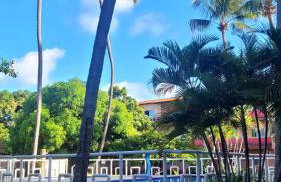 Flat Patronum - Foto 1