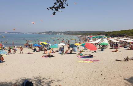 FRONTE PINETA MARE RIVABELLA - Foto 26