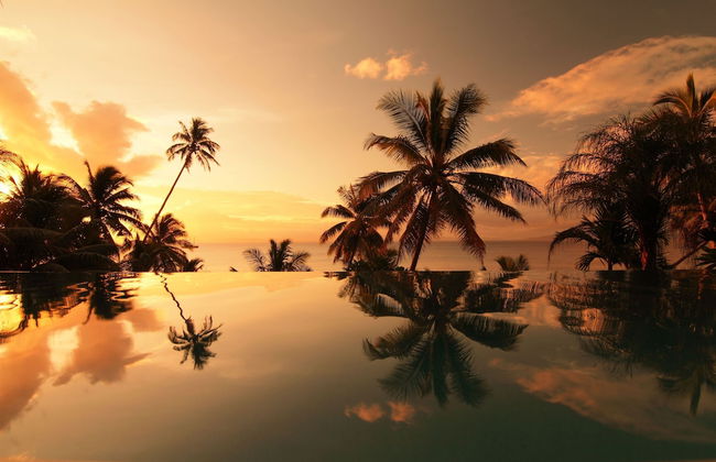 Taveuni Palms - Photo 79