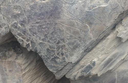 Casa da Muralha - Foto 56