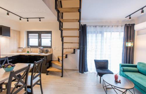 SUDECKA K0RONA domki całoroczne - Foto 4