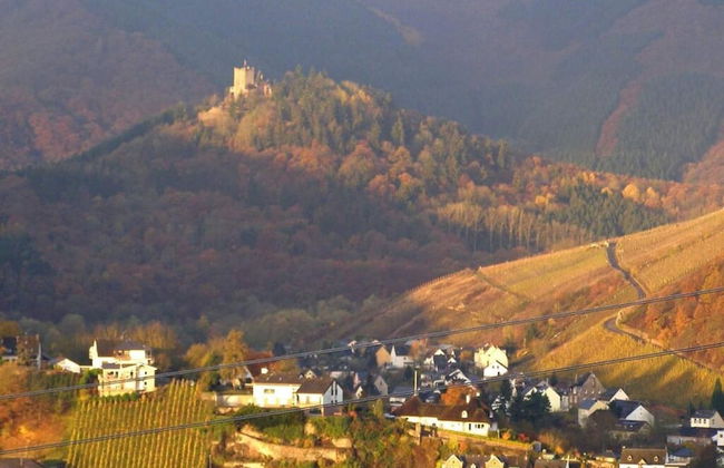 Holiday Apartment Haus Burgenblick Bullay - Foto 9