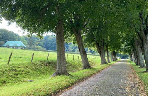 Ferienwohnungen Arkonablick - Foto 38