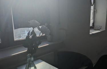 Kleine Sonnenstrahl-Oase - Photo 62