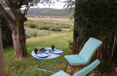 Vale D Sancho Eco Turismo - Foto 25