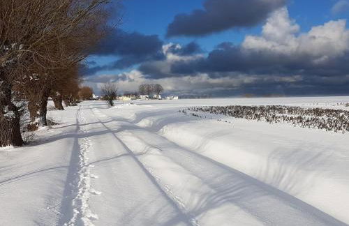 Ferienwohnung auf Insel Poel - Foto 60