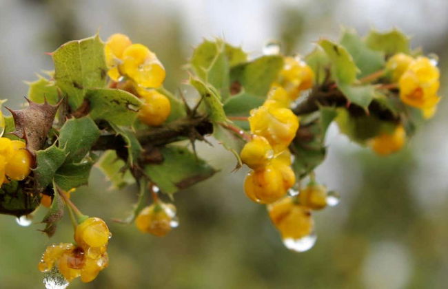 Fray Jorge National Park Trip - Photo 1