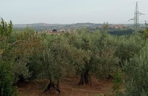 Casa Carolina Vista Lago a San Gimignano - Photo 26