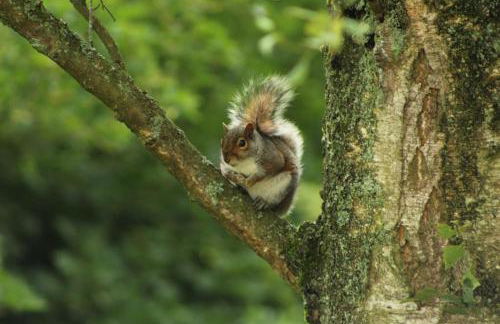 The Hive - beautiful studio with amazing hot tub - Foto 18