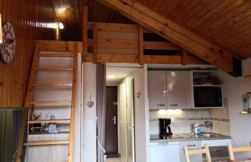 GREEN APPLE CARROZ Duplex WIFI Garage Balcon-Sud Vue Montagne - Photo 12