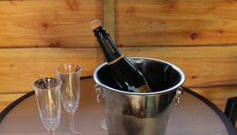 Pembrokeshire Shepherd hut with hottub - Foto 2