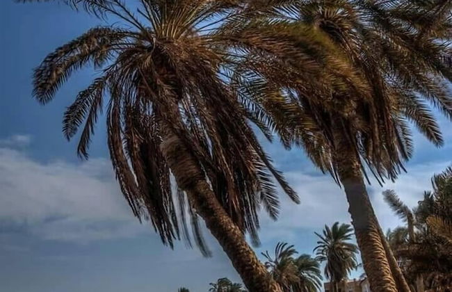 Villa Sarda - Foto 37