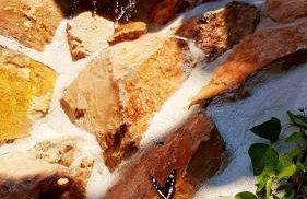 Villa Cherie - Photo 39