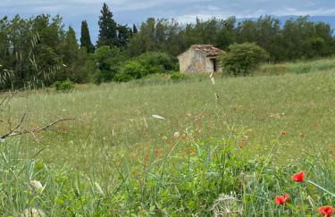 Inspiration maison entière avec jardin - Photo 24