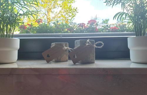 fewo-elzerhof - Foto 17