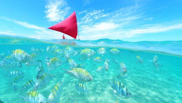 Aguas cristalinas de Porto de Galinhas