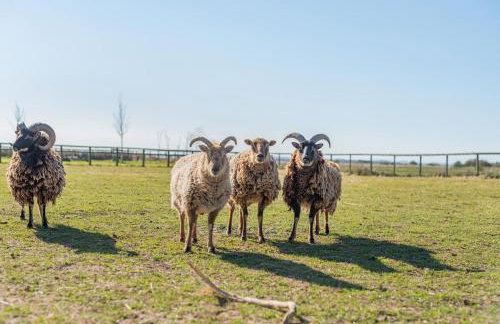 1 Bed in Saltfleetby oc-b30072 - Photo 11