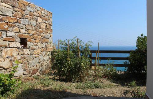 Ikaria Utopia - Cusco Studios - Photo 30