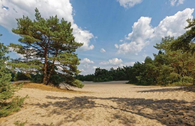 Holiday Home in Arrien Near Beerze Nature - Foto 29