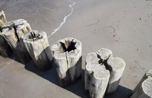 Ferien-am-Gutshof in Velgast - Ferienwohnung in Ostseenähe - Foto 27