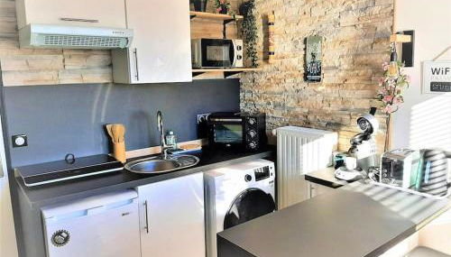 Songe Tropical-InvIRI. Studio CHU. Parking Aisé. - Foto 4