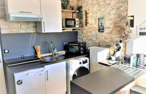 Songe Tropical-InvIRI. Studio CHU. Parking Aisé. - Foto 4