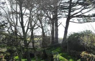 Entre ciel et mer - La maison de la pointe - Foto 13