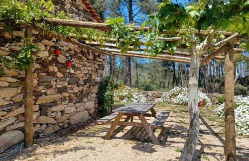 Casa do Feitor - Douro - Quinta da Cabrida - Foto 7