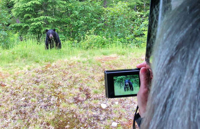 Tour panoramico di Whistler - Foto 3