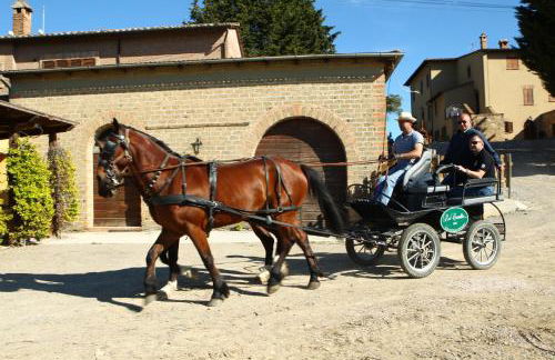 Agriturismo Palazzo Bandino - Wine cellar, on reservation restaurant and spa - Foto 35