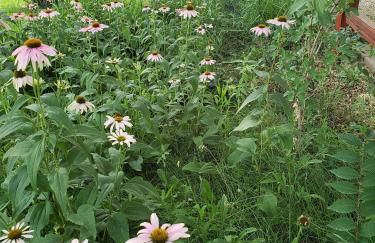 Grizzly Roadhouse Bed and Breakfast - Foto 40