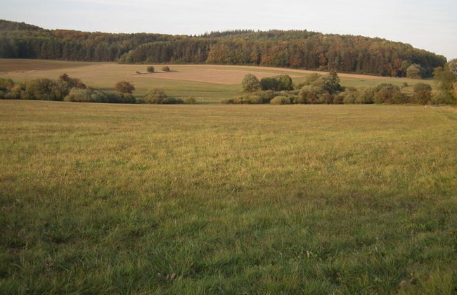 Villa Birrenbach Comfortable Vacation Home - Foto 25