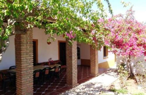 Quinta do Julião - Foto 17