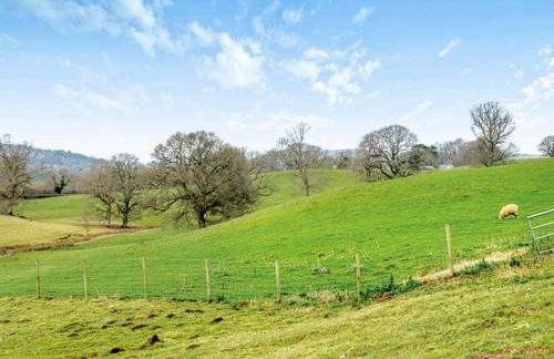 Hole Farm - Stable Cottage - Foto 16