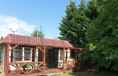 Pod orzechem - Foto 1