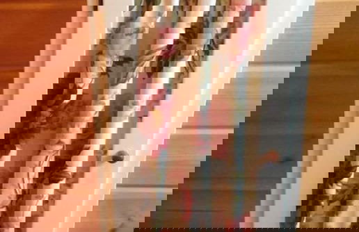 Log Cabin at White River - Foto 14